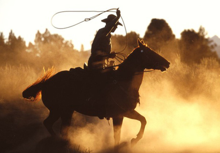 Gã Cao Bồi Bán Hàng